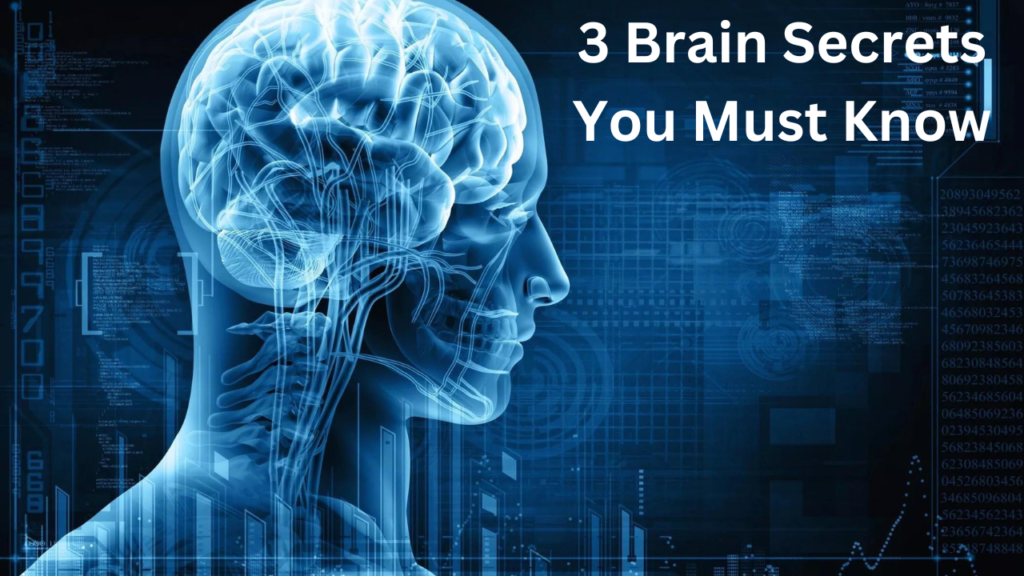 Brain Sceret
